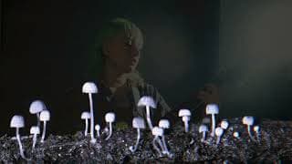 Echoes of the Eternal Self (Terrestrial Animal, Emily Gray, ZipZapZop) Official Video