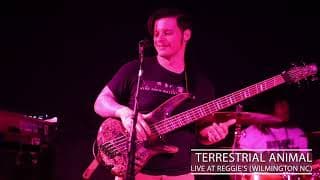 TERRESTRIAL ANIMAL LIVE @ REGGIES (WILM NC)